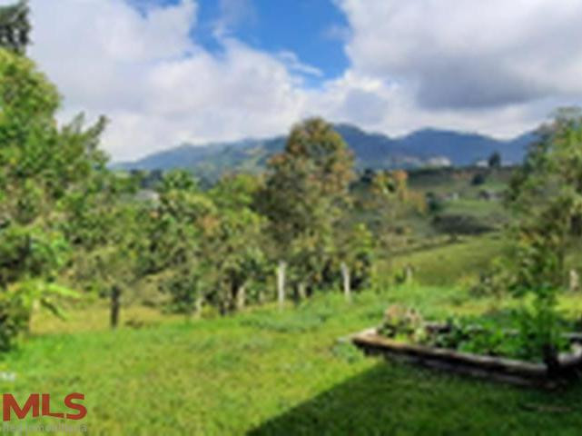 Lote hermoso para subdividir con casa primaria guarne - v chaparral