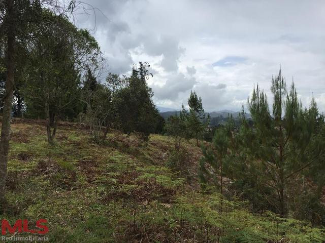 Lote independiente para desarrollar en Santa Elena guarne - santa elena