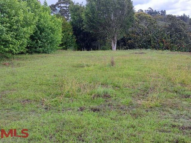 Lote plano con vista hermosa al rió . el-carmen - v quirama