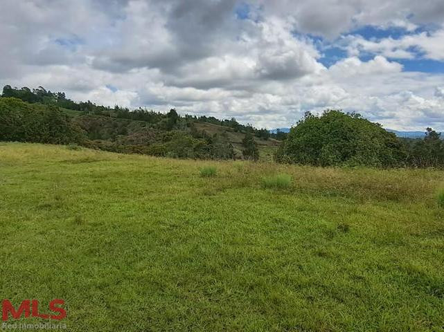 Lote plano con vista hermosa al rió . el-carmen - v quirama