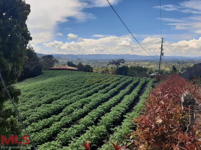 Hermoso lote con amplia explanación ubicado en El Carmen el-carmen - v el cerro