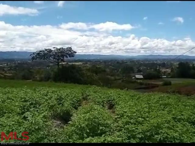 Hermoso lote con amplia explanación ubicado en El Carmen el-carmen - v el cerro