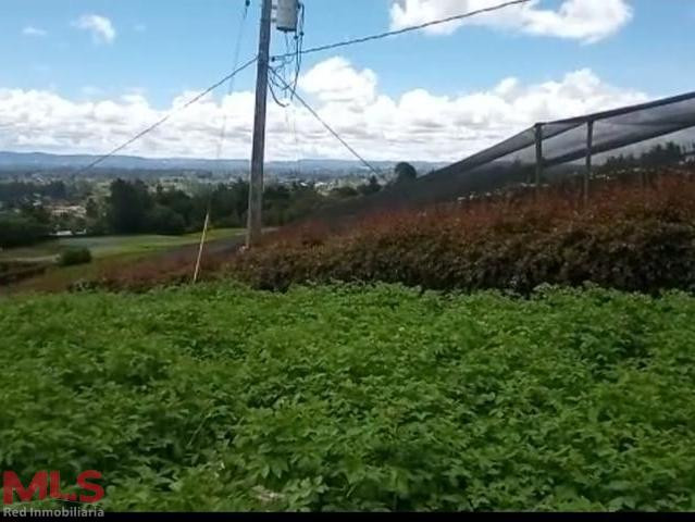 Hermoso lote con amplia explanación ubicado en El Carmen el-carmen - v el cerro