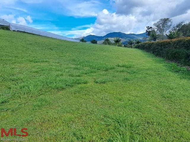 Hermoso Lote en parcelación en La Ceja la-ceja - v el yarumo