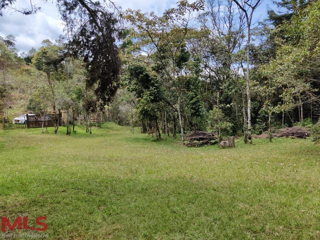 Hermoso lote independiente en el Alto de las Palmas envigado - alto de las palmas