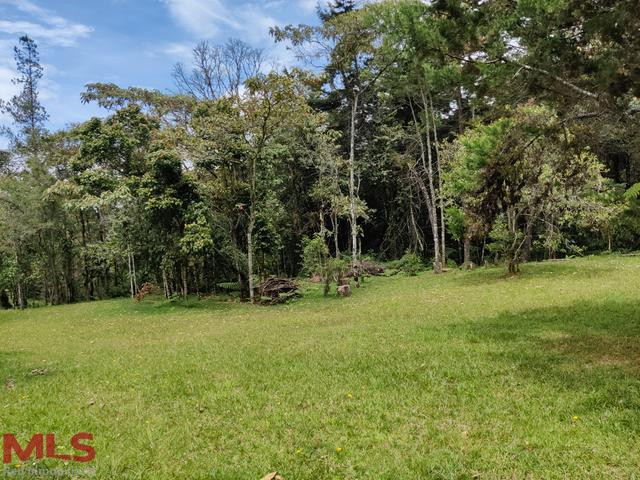 Hermoso lote independiente en el Alto de las Palmas envigado - alto de las palmas