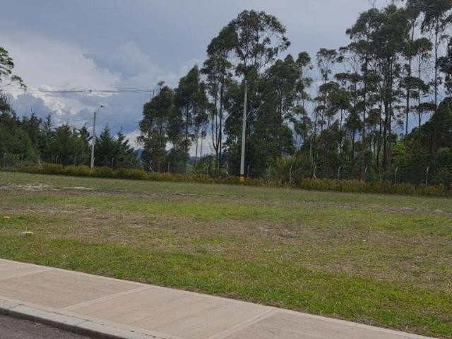 Lote industrial en Rionegro rionegro - v el tablazo