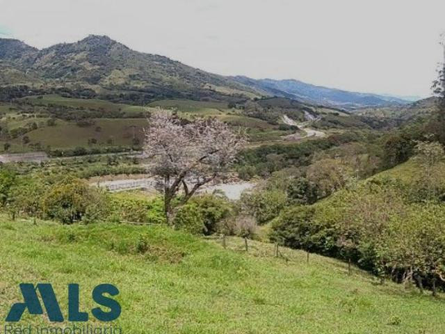 Lote en venta cerca a Medellín. barbosa - v el tablazo popalito