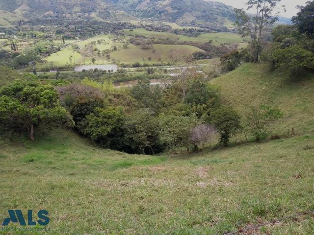 Lote en venta cerca a Medellín. barbosa - v el tablazo popalito