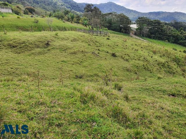 hermoso lote en el carmen de viboral el-carmen - v el cerro