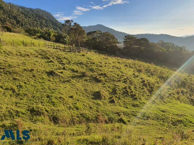 hermoso lote en el carmen de viboral el-carmen - v el cerro