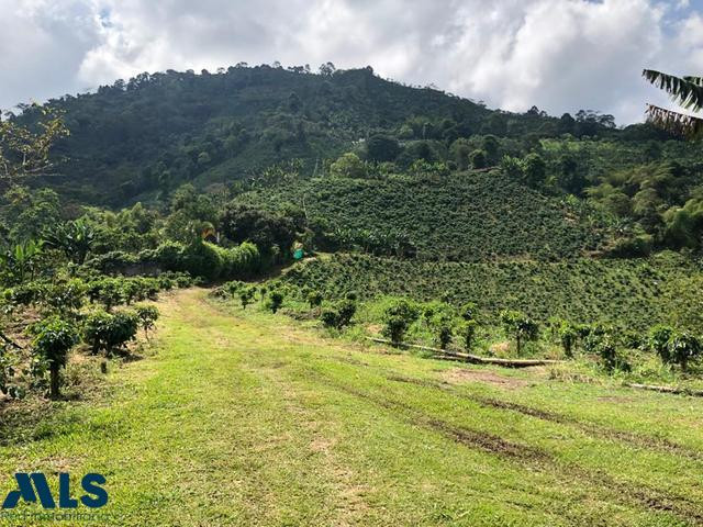 EN VENTA FINCA PRODUCTIVA EN COMBIA pereira - combia