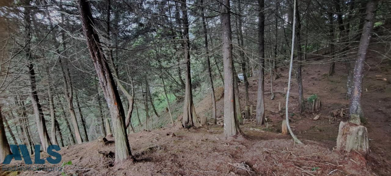 Lote en parcelación en El Retiro el-retiro - alto de las palmas el retiro