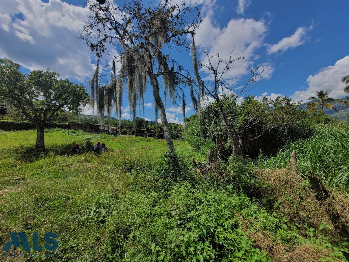 ESTE LOTE EN GIRARDOTA ES UN PARAISO RURAL girardota - v el totumo