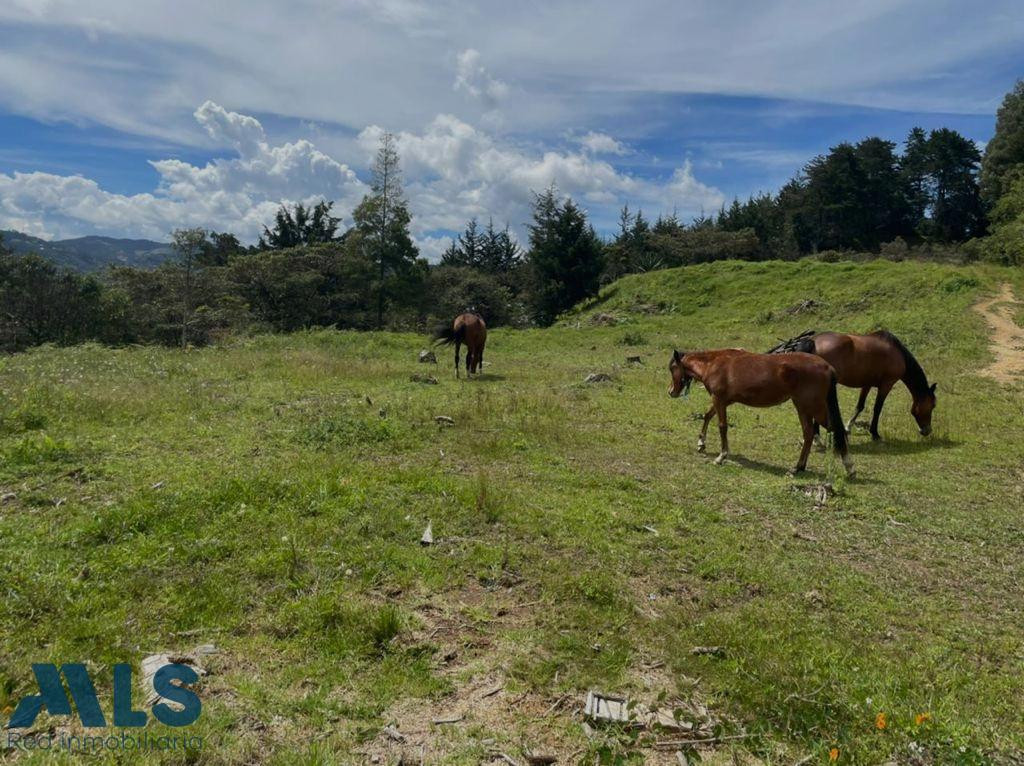 Lote independiente para la venta el-retiro - corredor la fe el retiro