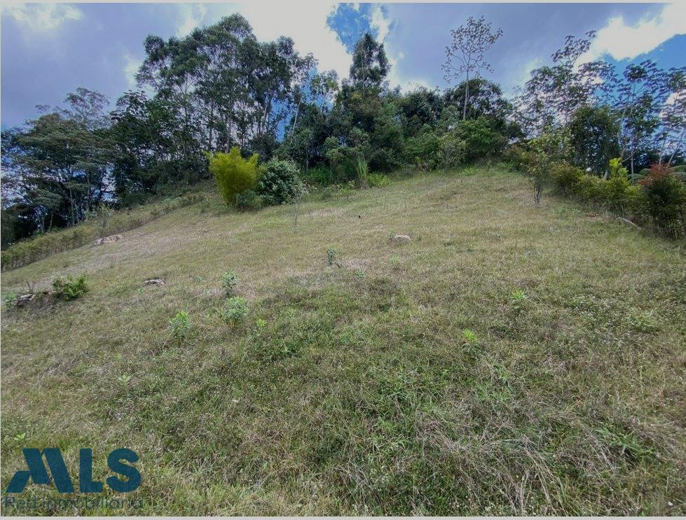 Lote en Rionegro en urbanización campestre rionegro - v guayabito