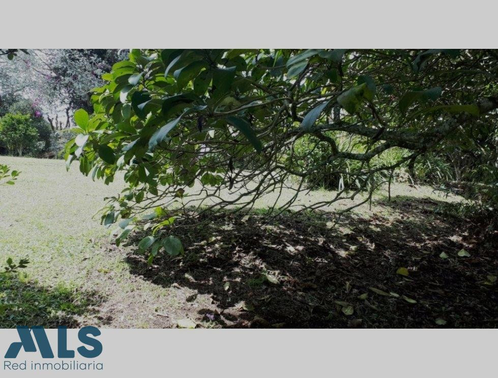 Lote independiente en vereda Cabeceras - Rionegro rionegro - cabeceras