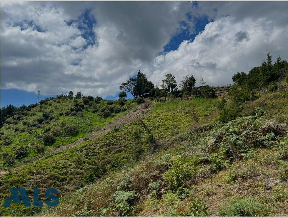 Finca independiente para cultivo en Abejorral abejorral - aures