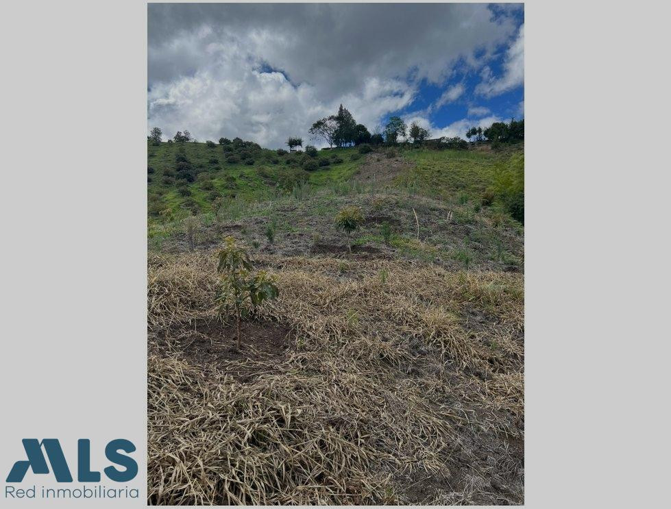 Finca independiente para cultivo en Abejorral abejorral - aures