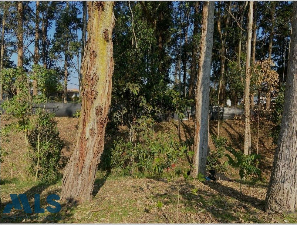 Lote en urbanización en Rionegro rionegro - v chipre