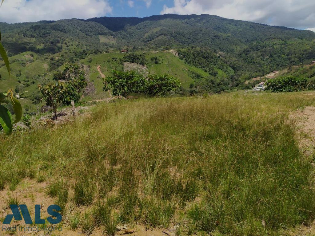 Lote en San Luis cerca al rio Dormilon san-luis - parque