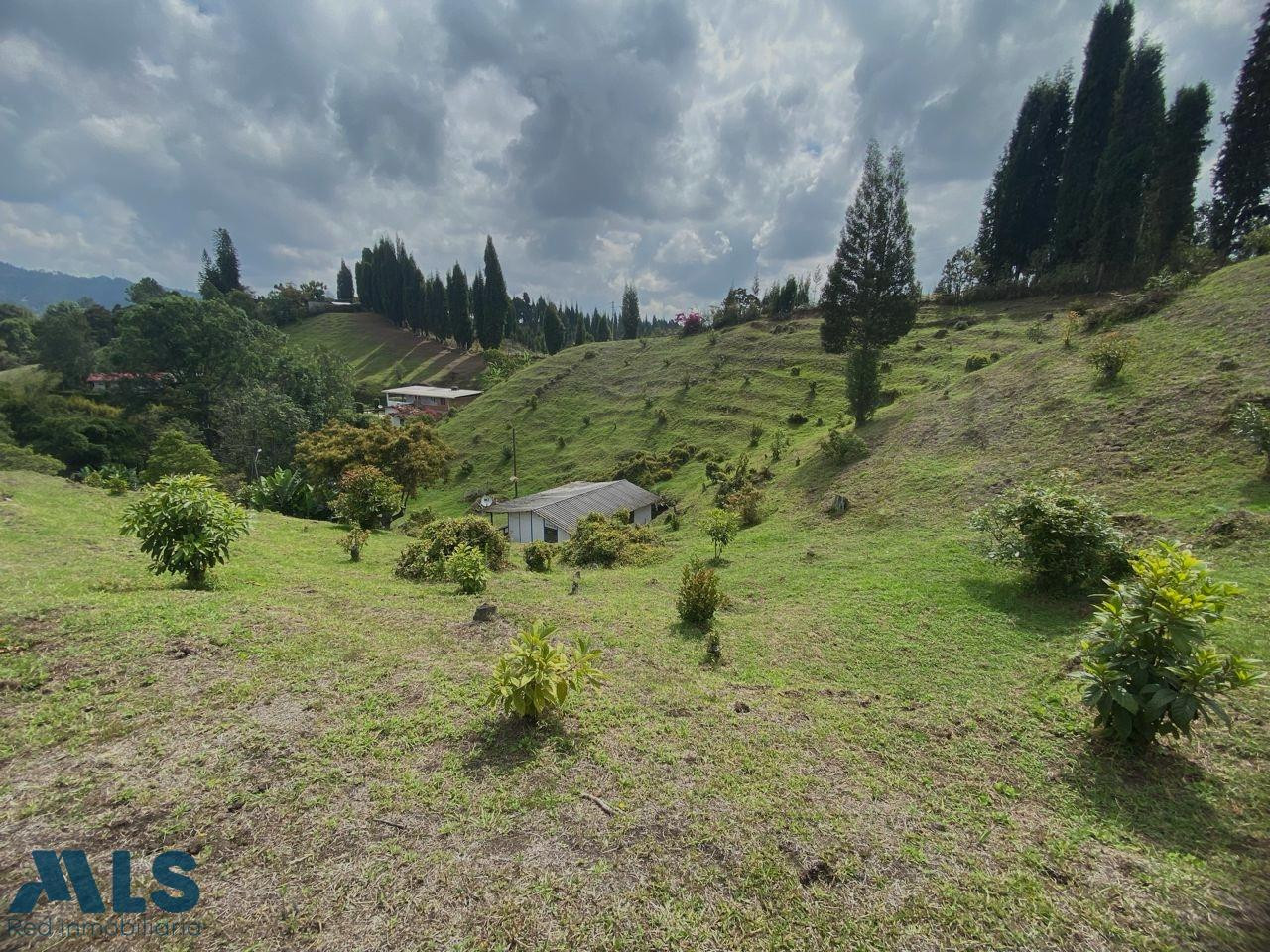 HERMOSO LOTE A LA VENTA EN GUARNE - ORIENTE ANTIOQUEÑO guarne - v hojas anchas