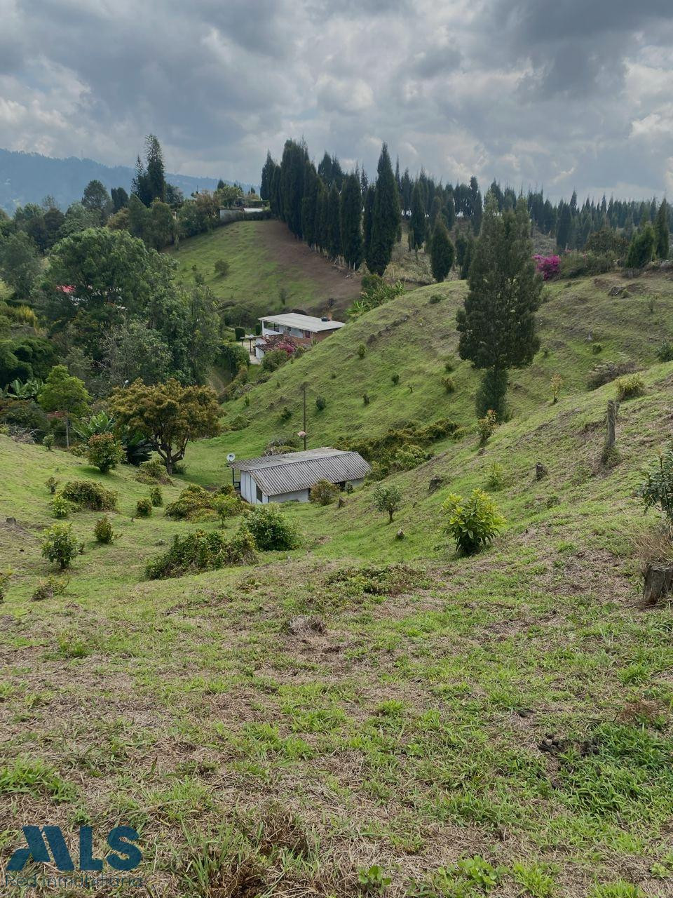 HERMOSO LOTE A LA VENTA EN GUARNE - ORIENTE ANTIOQUEÑO guarne - v hojas anchas