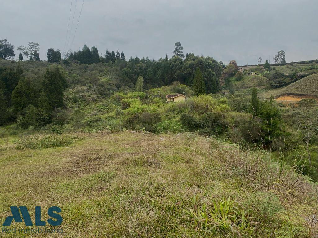 Lote en Guarne para construir guarne - v hojas anchas