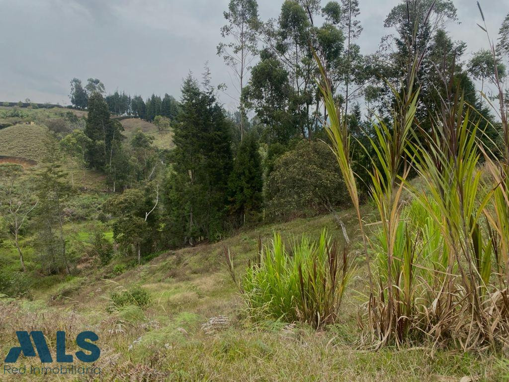 Lote en Guarne para construir guarne - v hojas anchas