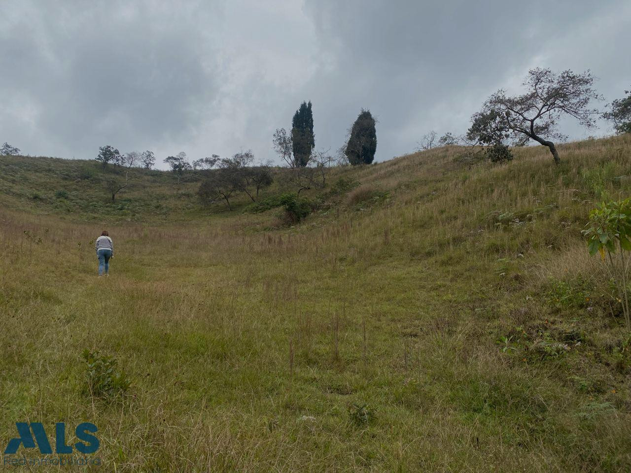 Lote en Guarne para construir guarne - v hojas anchas