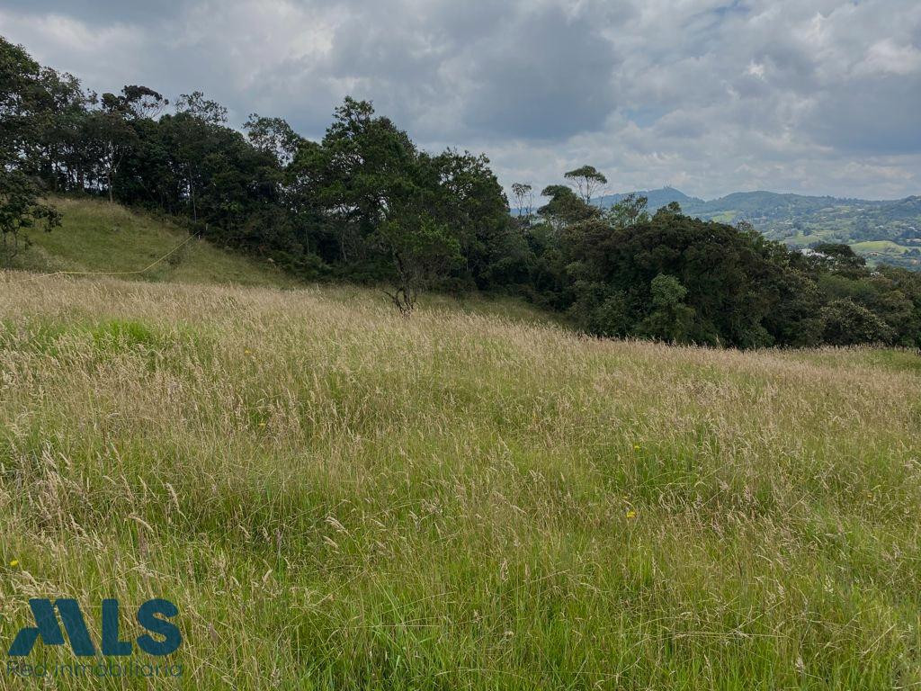 Vive rodeado de naturaleza! envigado - alto de las palmas