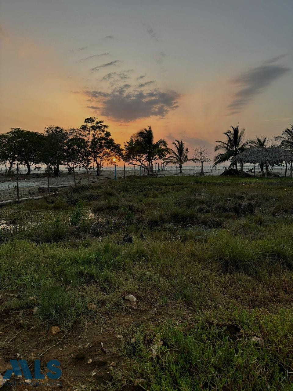 Lote para la venta, frente al mar, Coveñas, El Frances, Tolú. santiago-de-tolu - el frances