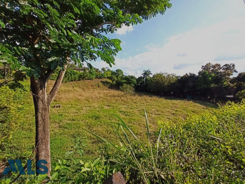 Lote en venta en Cartago, después del peaje Cerritos. pereira - cerritos