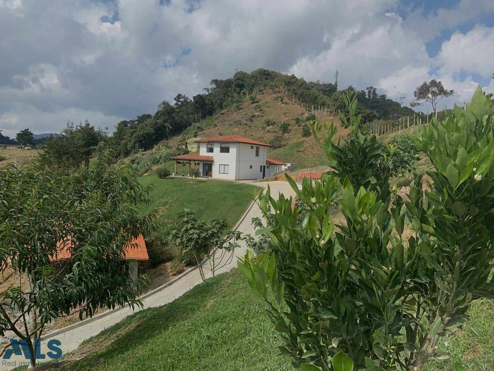 FINCA CON EXCELENTE VISTA EN COCORNA, SECTOR EL SOCORRO. cocorna - socorro