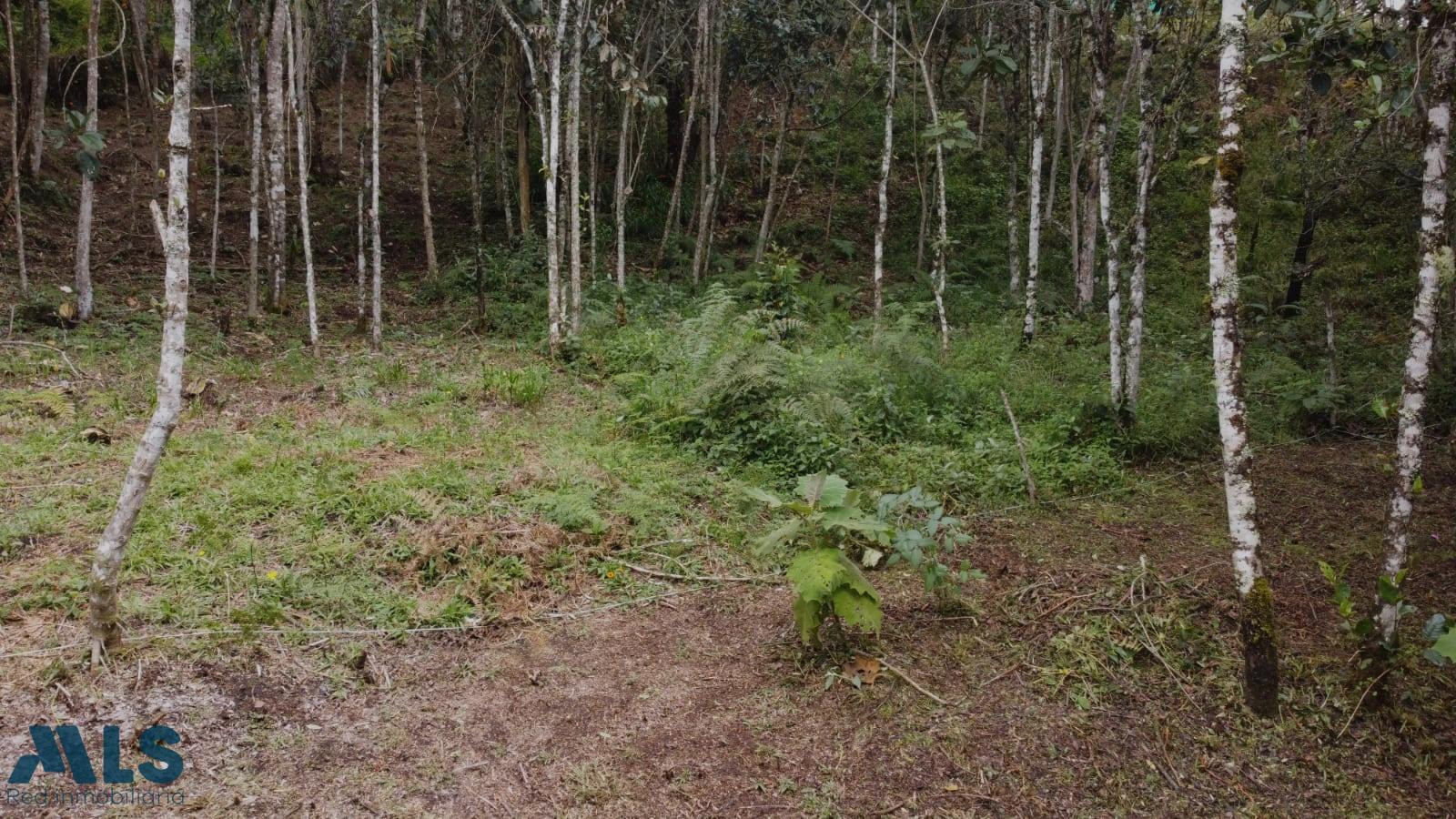 Por su topografía el terreno permite tener vivienda en la parte interna y local ext santa-elena - rural