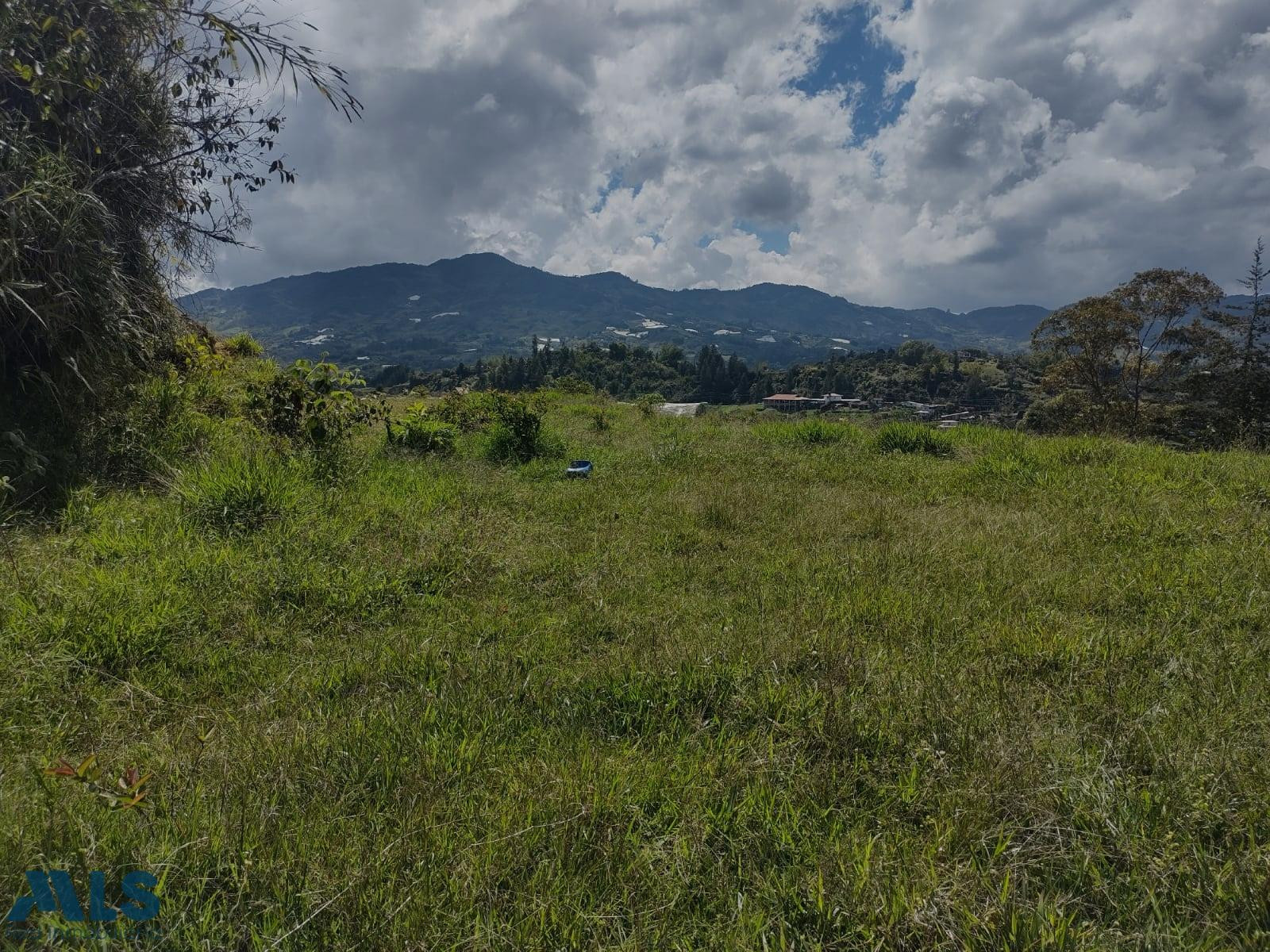 Lote en el penol el-penol - morro