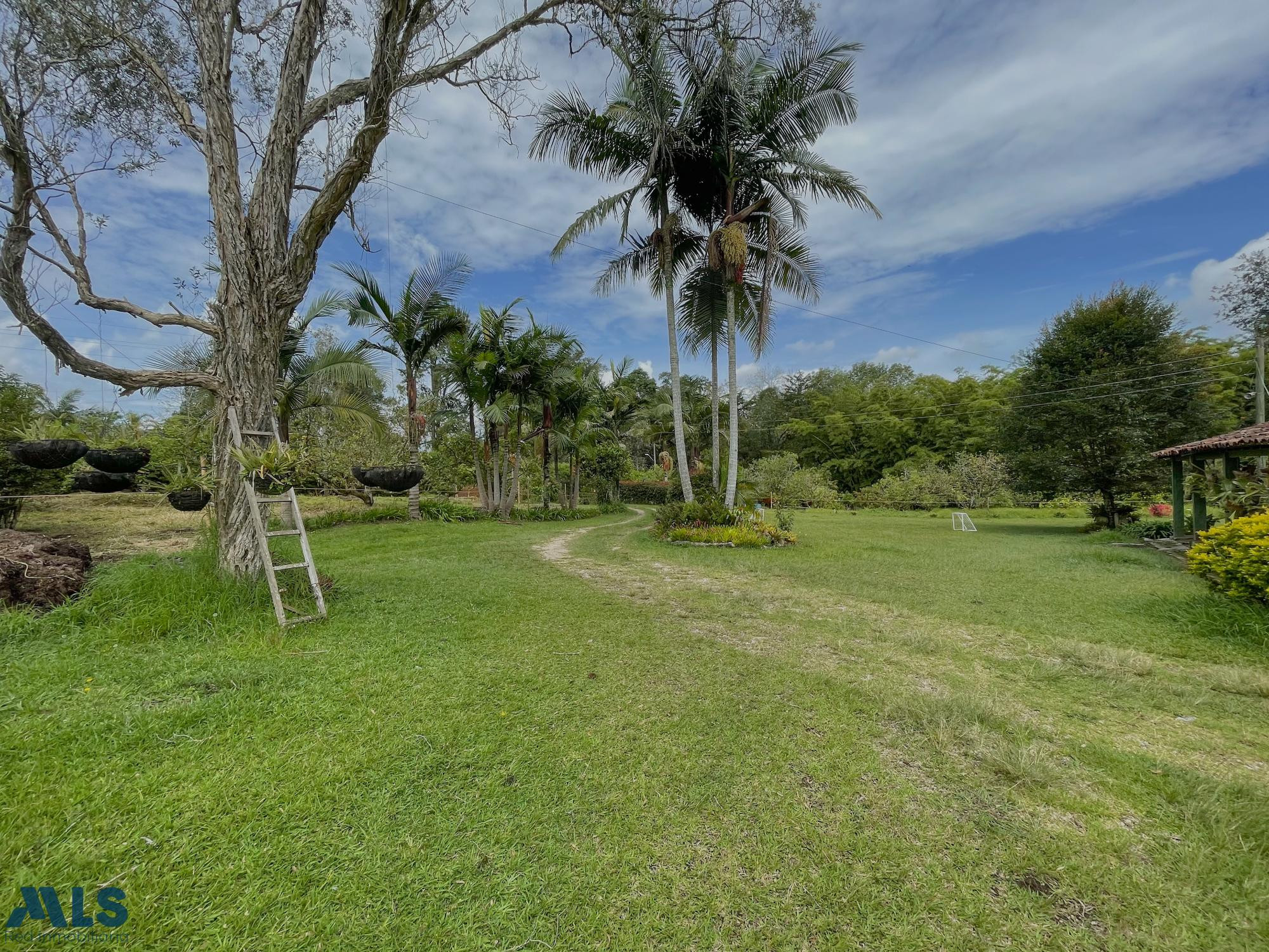 Lote para la venta en la vereda alto de la Pereira rionegro - san antonio de pereira