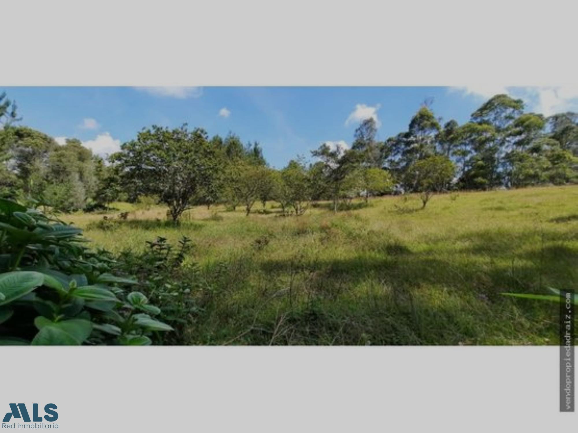 Lote Para Venta en Pontezuela rionegro - cabeceras