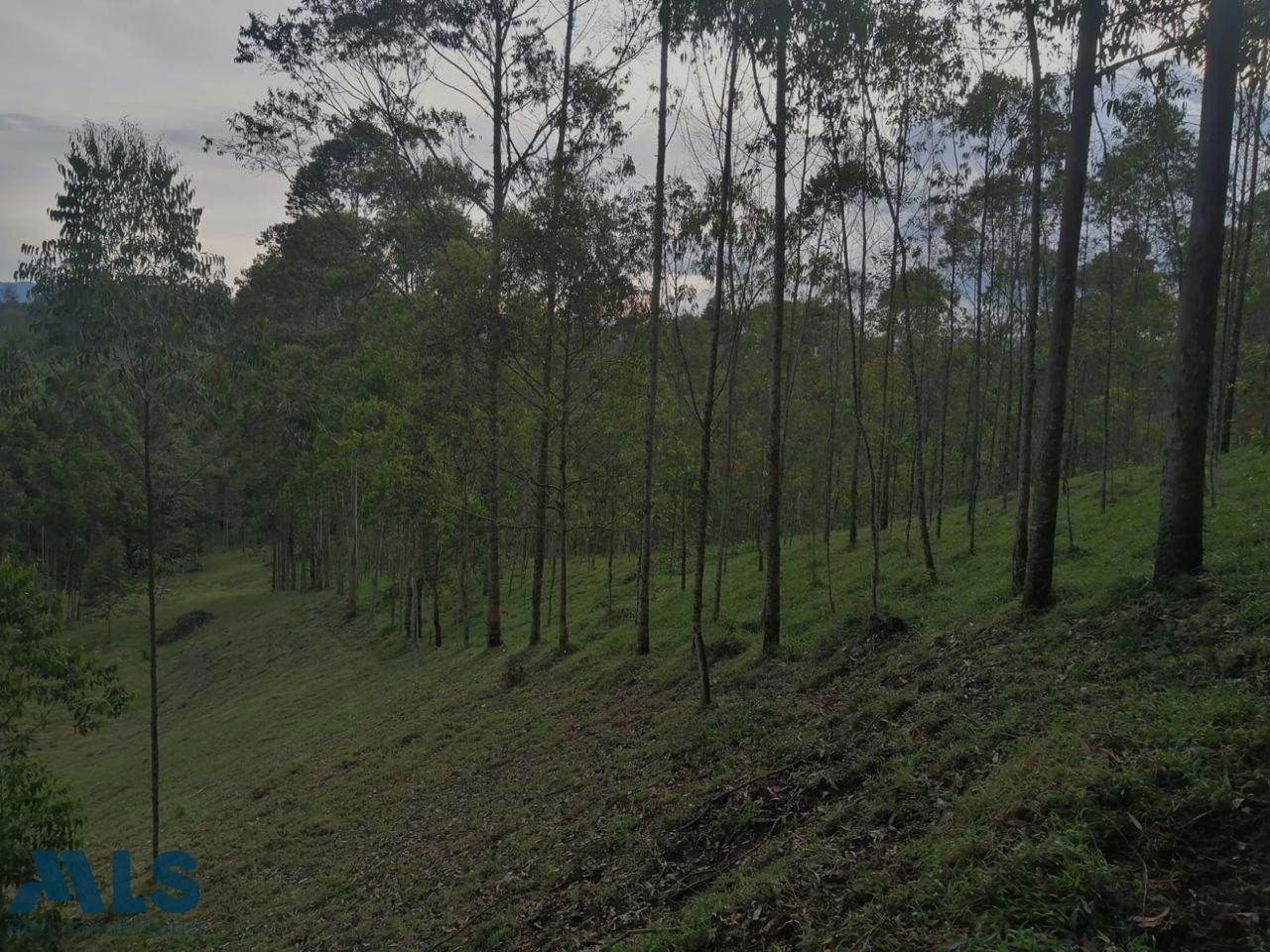 Excelente lote para desarrollar proyecto de vivienda campestre en magnifica ubicación el-carmen - rural