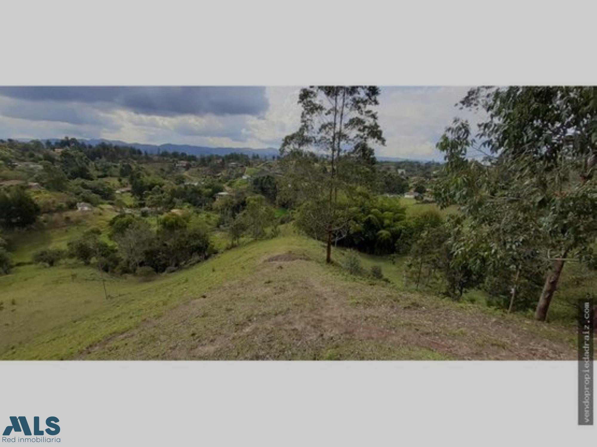 Lote Para Venta En Rionegro rionegro - v abreo