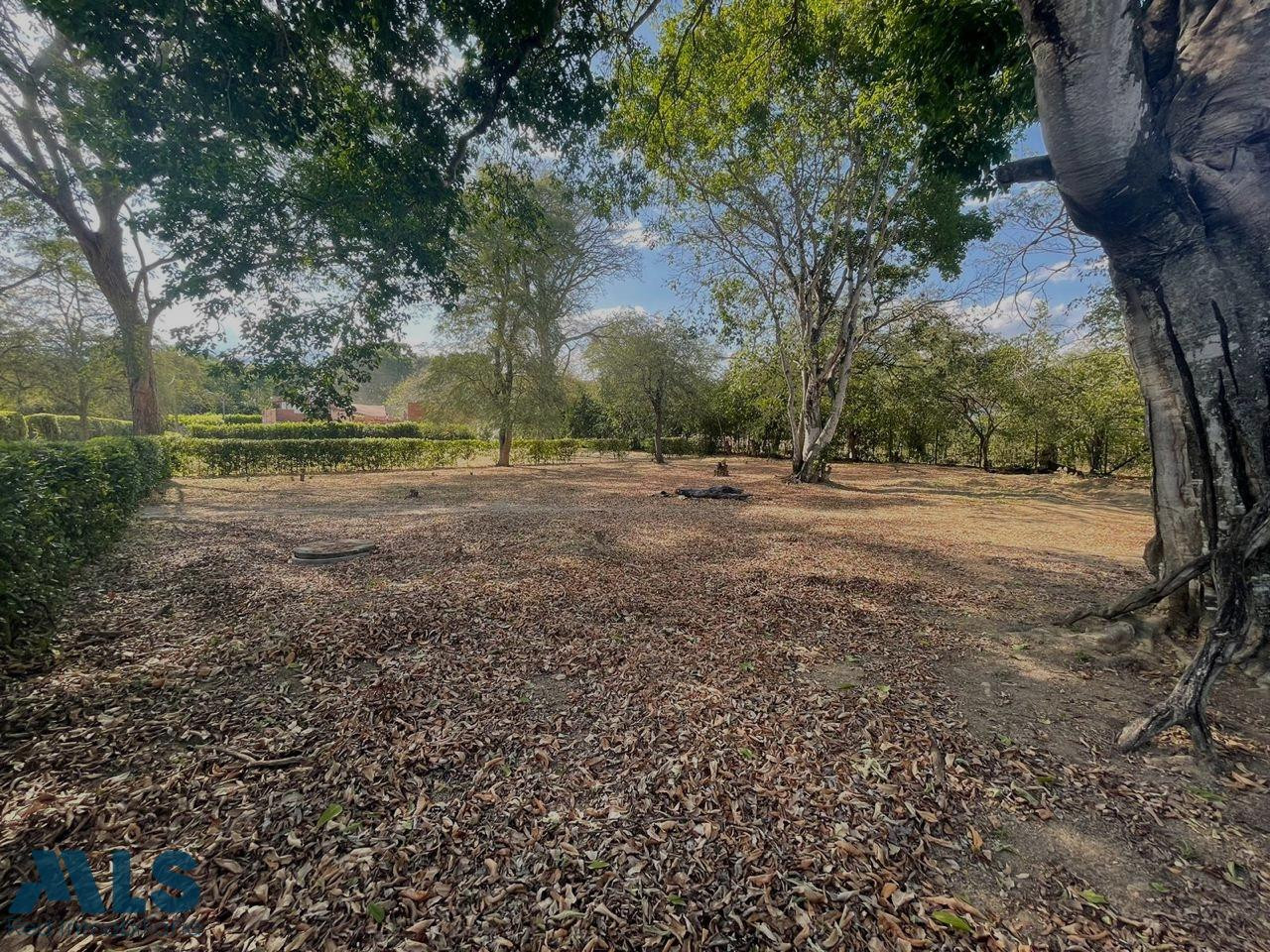 LOTE #11 SOBRE LA VIA PRINCIPAL DE SOPETRAN, EN OFERTA sopetran - v guaymaral