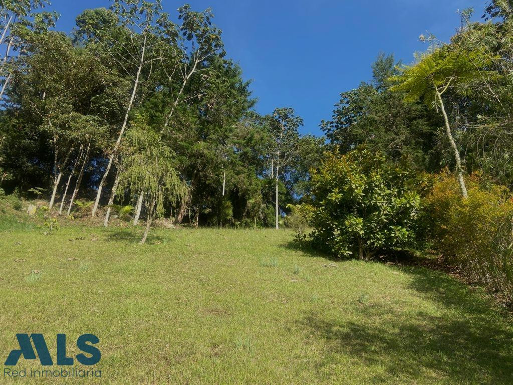 Lote En Venta en Rionegro rionegro - v guayabito