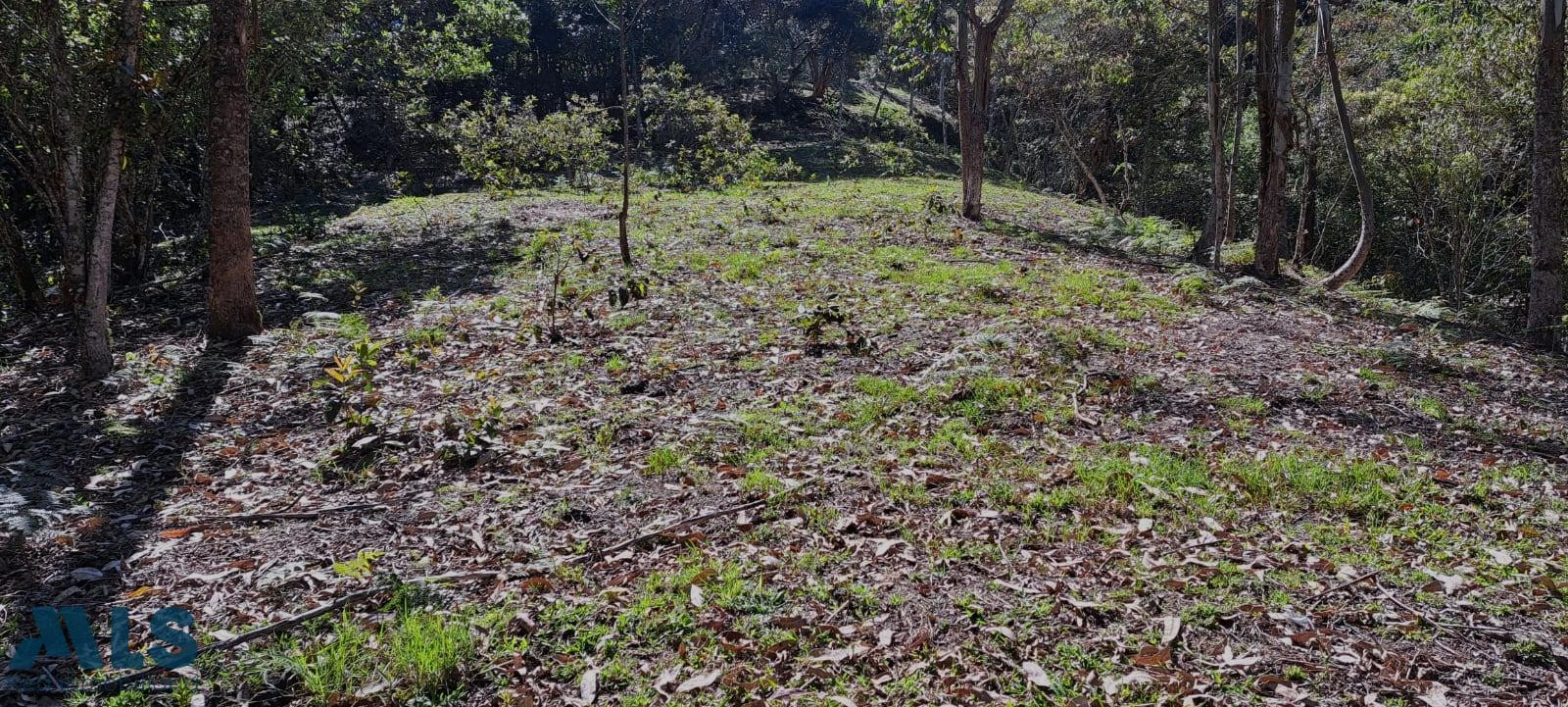 Lote independiente para venta en Rionegro - Alto del Perro rionegro - alto del perro