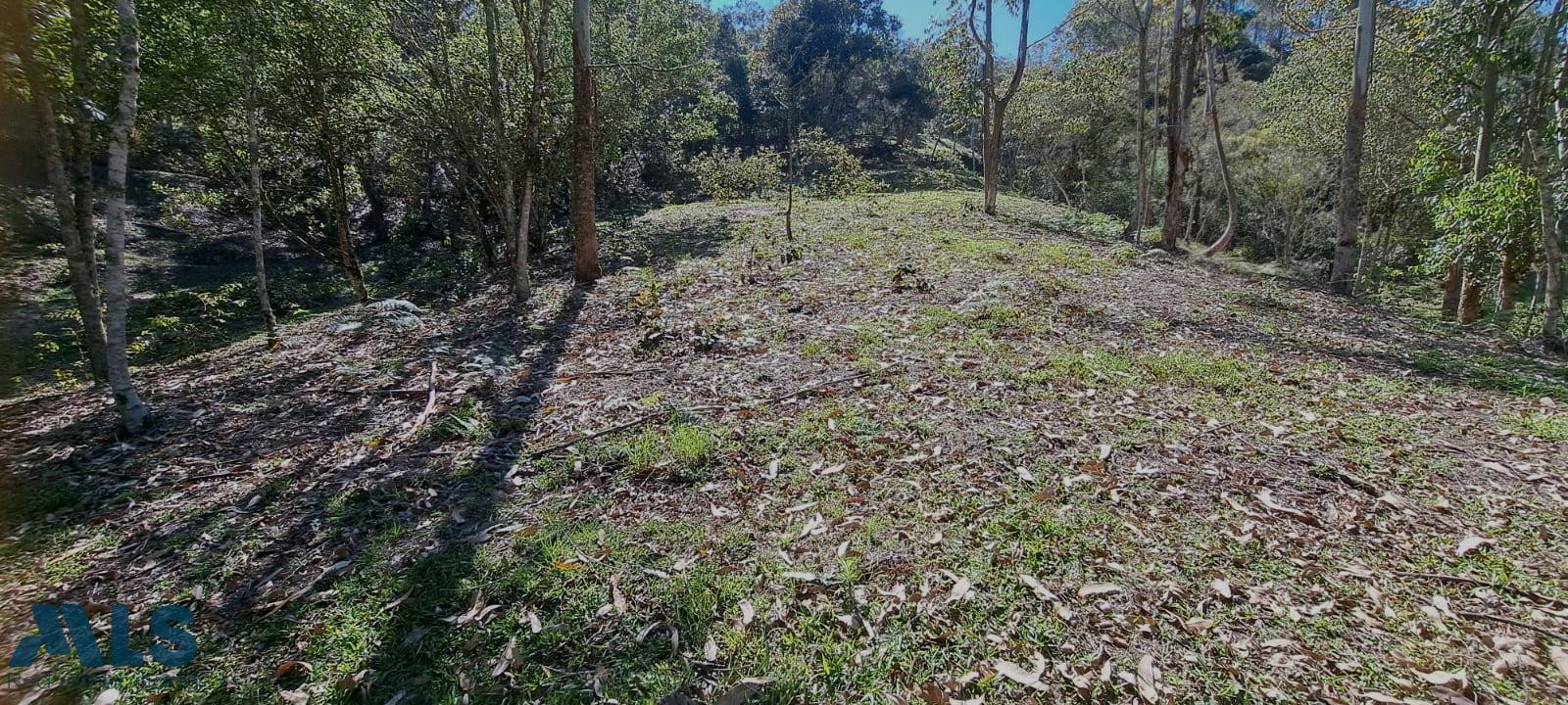 Lote independiente para venta en Rionegro - Alto del Perro rionegro - alto del perro