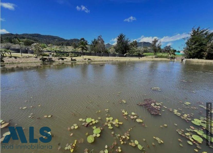 Hermoso Lote, rodeado de naturaleza y tranquilidad la-ceja - v el yarumo