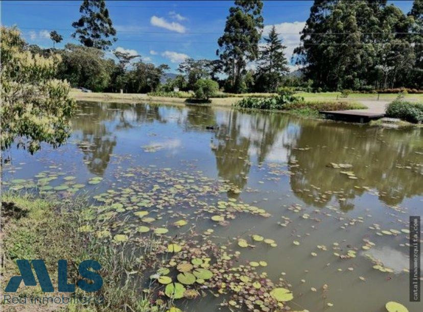 Hermoso Lote, rodeado de naturaleza y tranquilidad la-ceja - v el yarumo