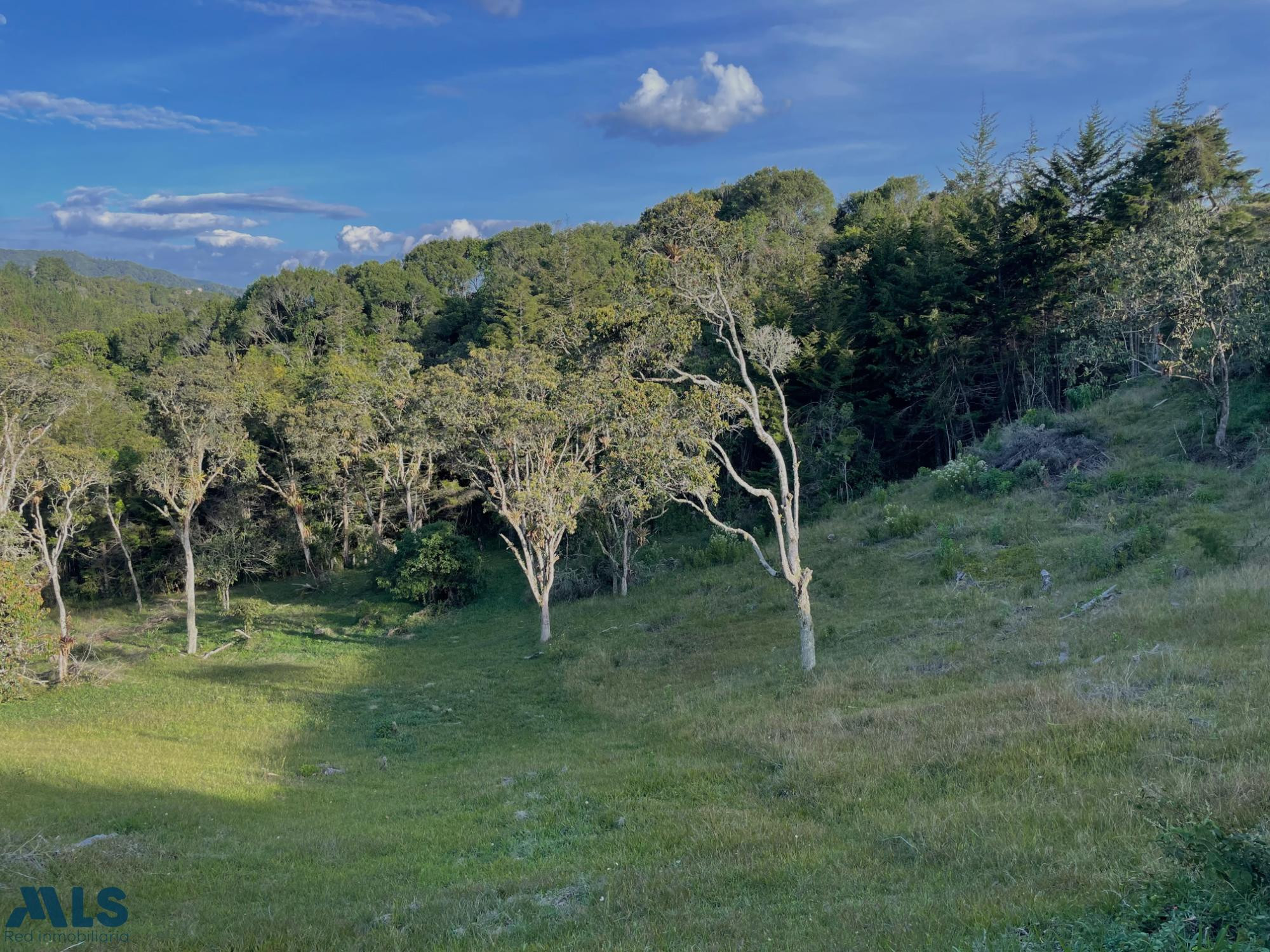 Un lote espectacular para enamorarse de la naturaleza el-retiro - pantanillo