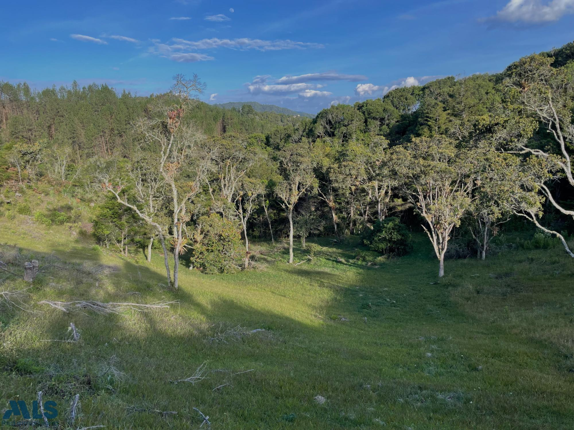 Un lote espectacular para enamorarse de la naturaleza el-retiro - pantanillo