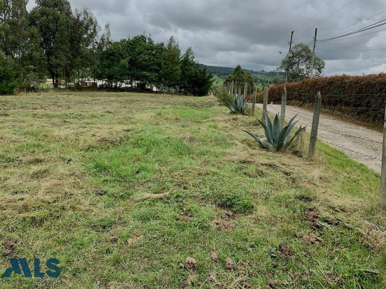 VENDO LOTE SAN PEDRO DE LOS MILAGROS - UNIDAD CERRADA san-pedro - rural