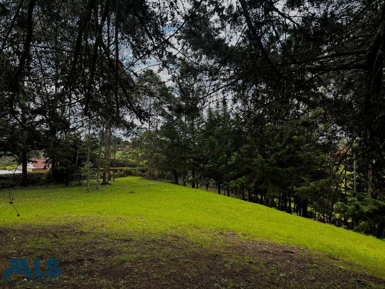 VENTA LOTE PINAR DE QUIRAMA rionegro - v quirama